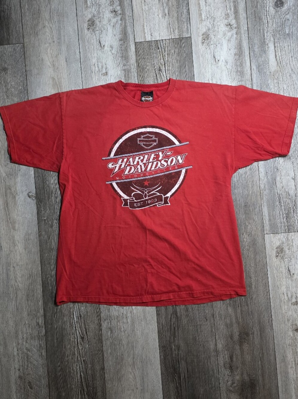 Harley-Davidson Men's Chester's Snake Twin Falls, Idaho Graphic Tee Shirt Sz XL - Picture 5 of 9